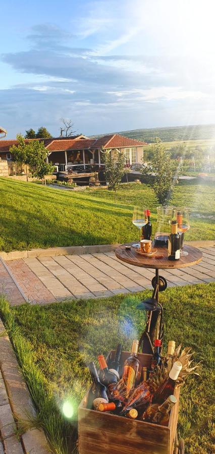 Apartmani Bojeresku Неготін Екстер'єр фото