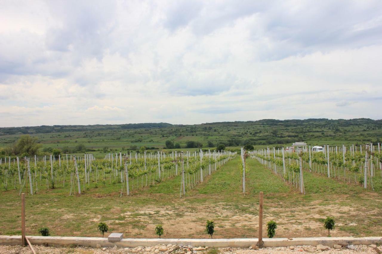 Apartmani Bojeresku Неготін Екстер'єр фото